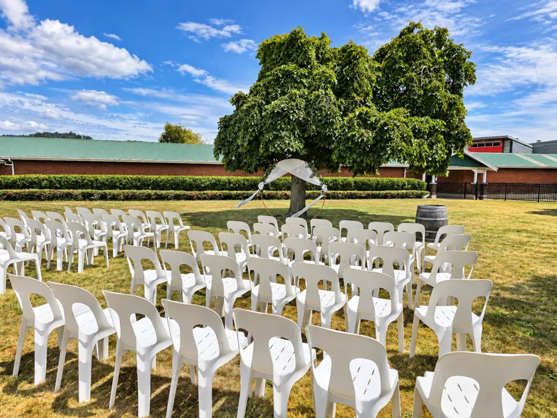 sunlit outdoor wedding ceremony setup