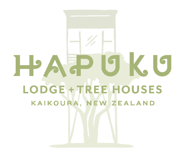 Hapuku Lodge & Tree Houses