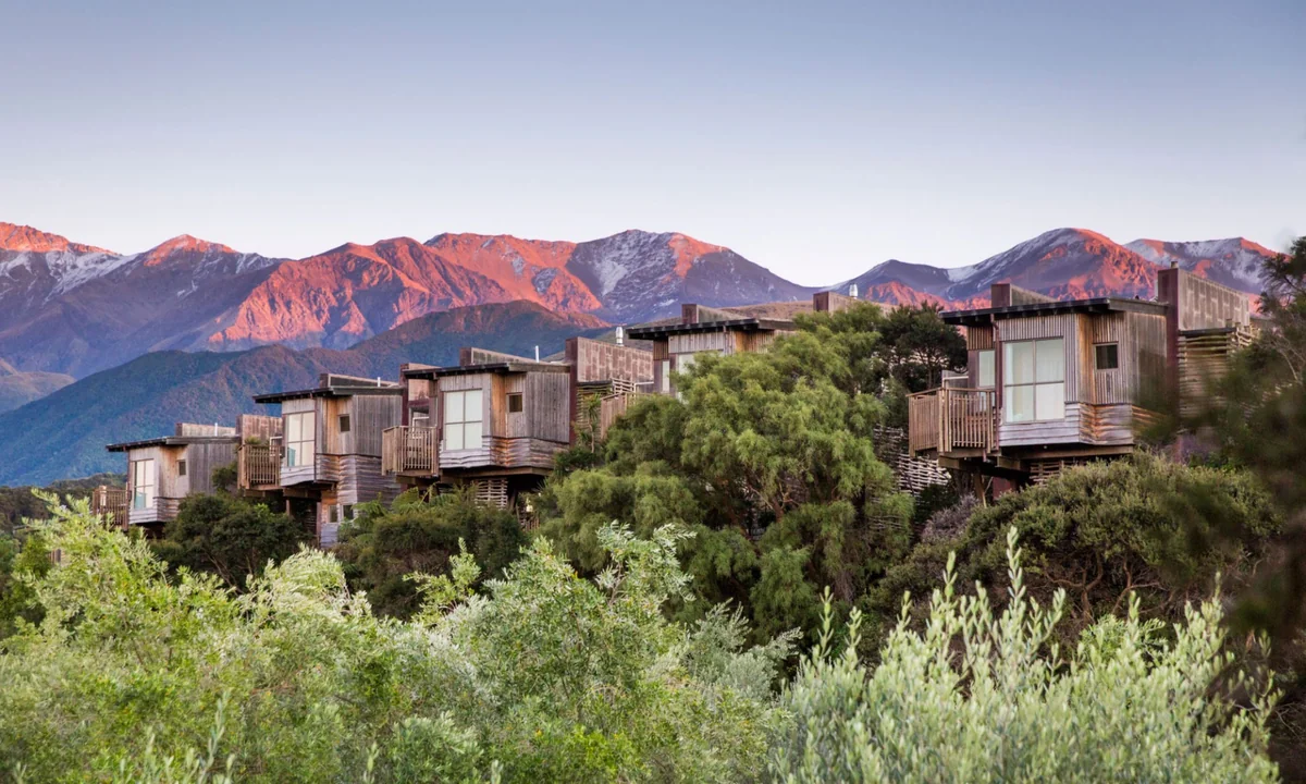 Hapuku Lodge & Tree Houses