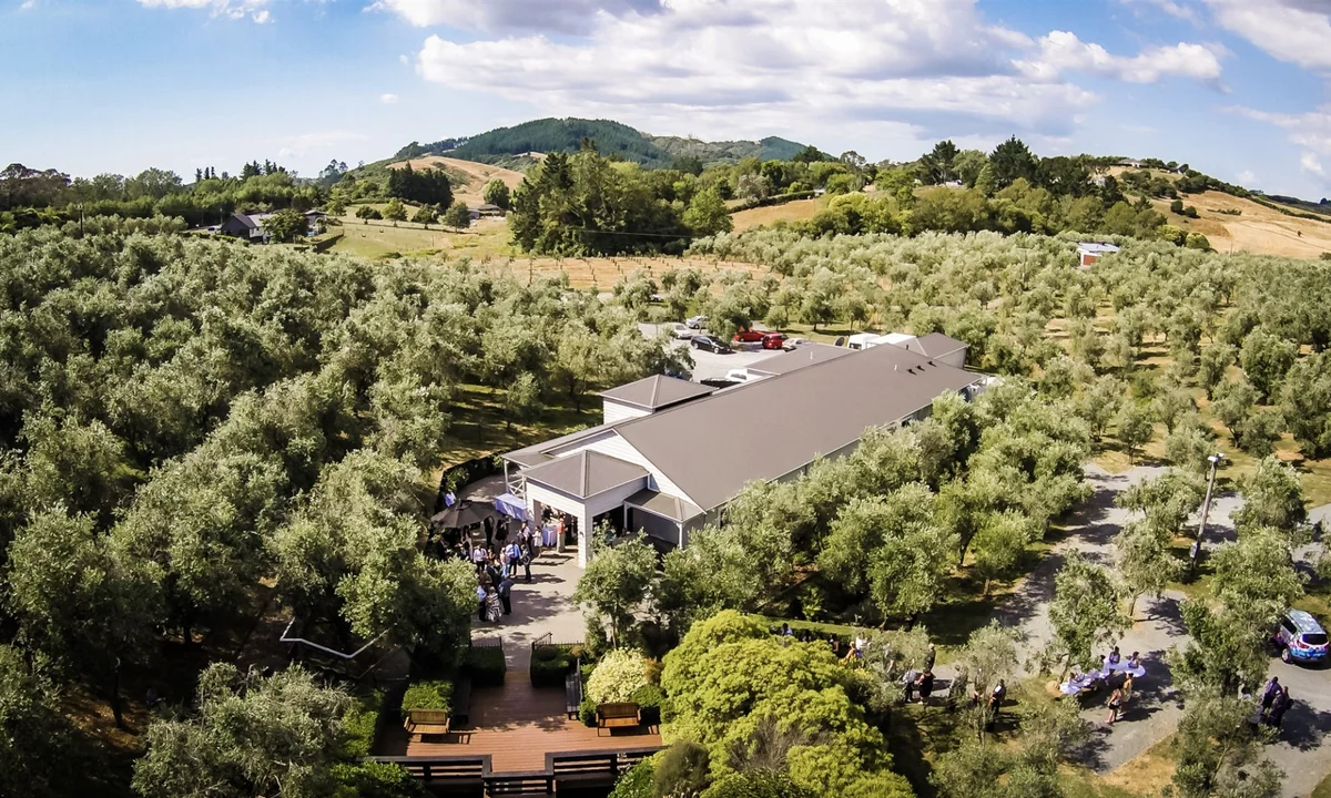 Bracu Olive Estate