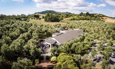 Bracu Olive Estate