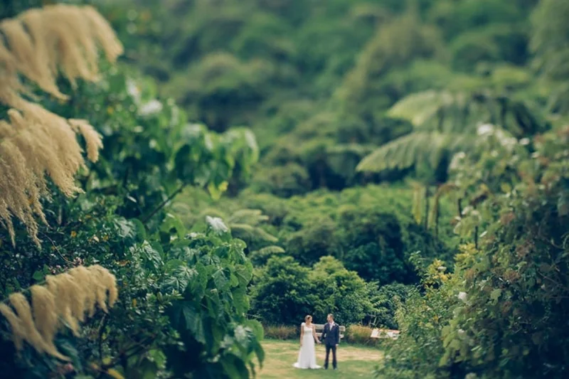 Zealandia Te Māra a Tāne
