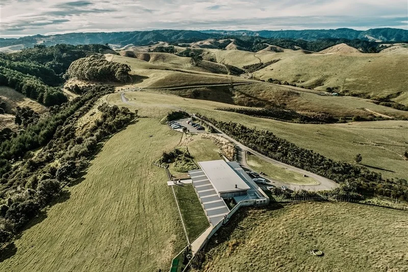 Kauri Bay - Auckland’s Ultimate Experience Event Venue
